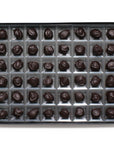 Dark Chocolate Covered Stem Ginger