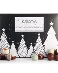Vegan Chocolate Advent Calendar