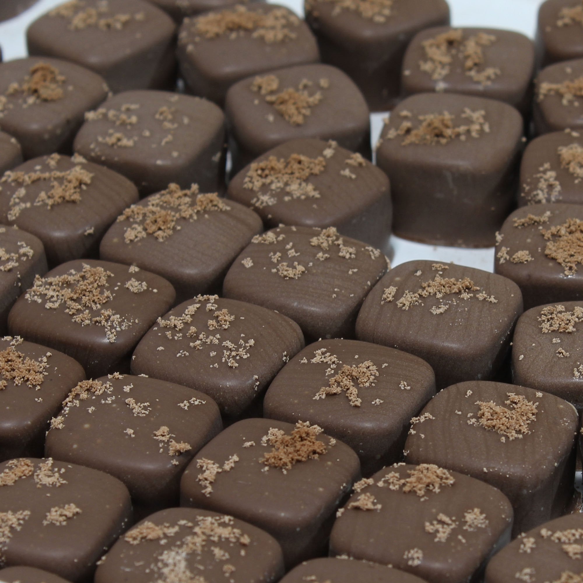 VEGAN BROWNIE CHOCOLATES - SECONDS