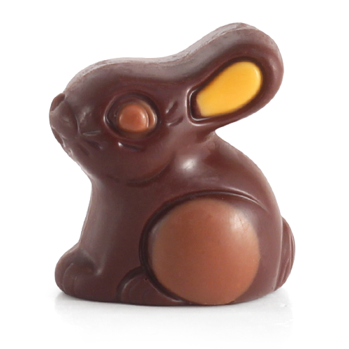 DARK BUNNY