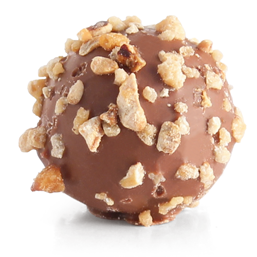 HAZELNUT