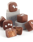 Vegan Christmas Caramel chocolates