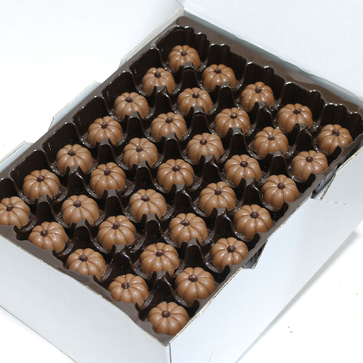 Praline Pumpkin Milk Chocolates