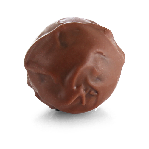 SALTED CARAMEL