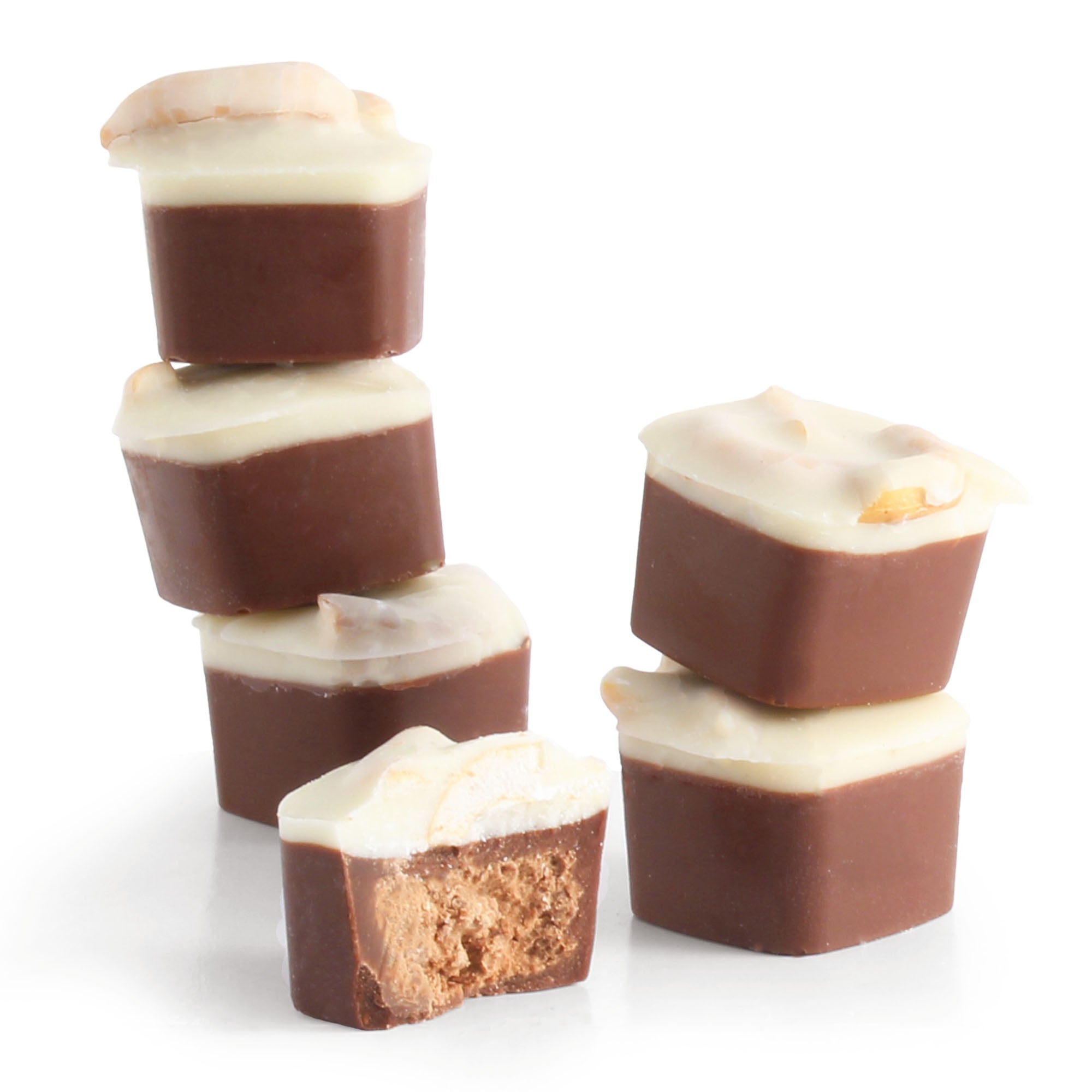 The Pretzel 1 Praline Vegan Chocolates