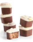 The Pretzel 1 Praline Vegan Chocolates