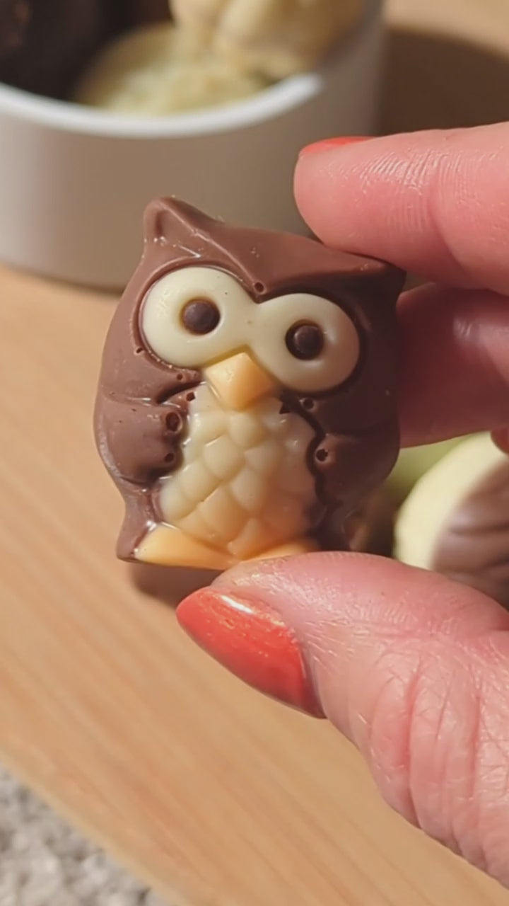 PRALINE CHOCOLATE OWLS