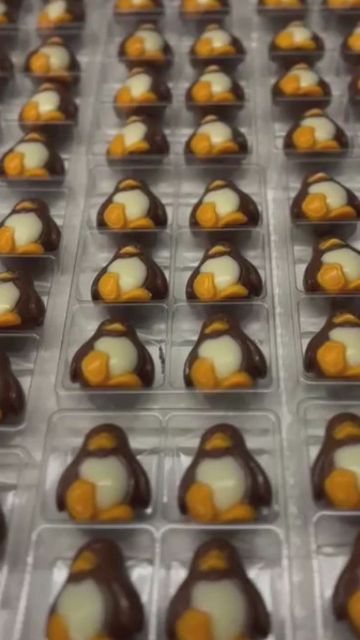 PRALINE CHOCOLATE PENGUINS GIFT BOX