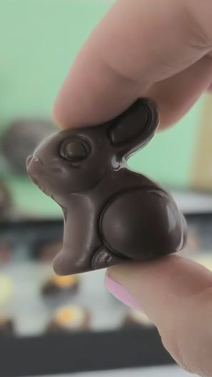 Chocolate Praline Bunnies