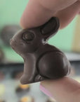 Chocolate Praline Bunnies