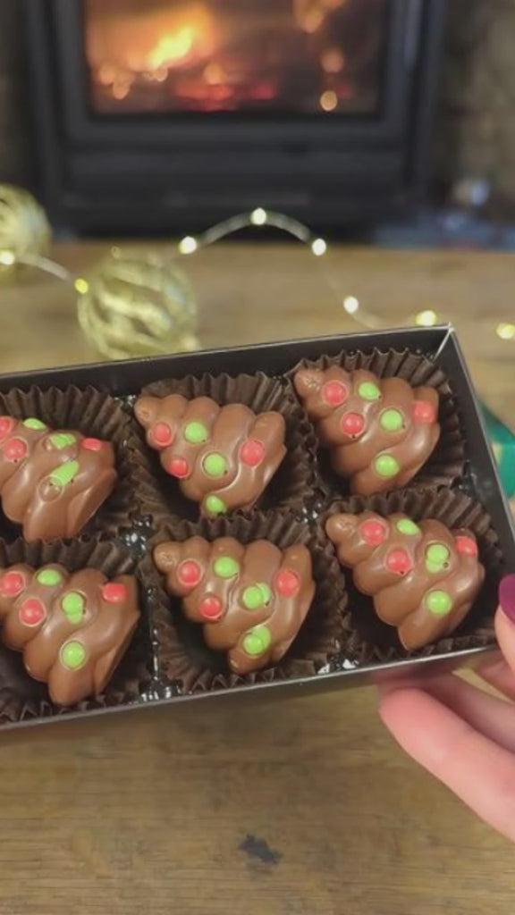 PRALINE CHOCOLATE CHRISTMAS TREE BOX 